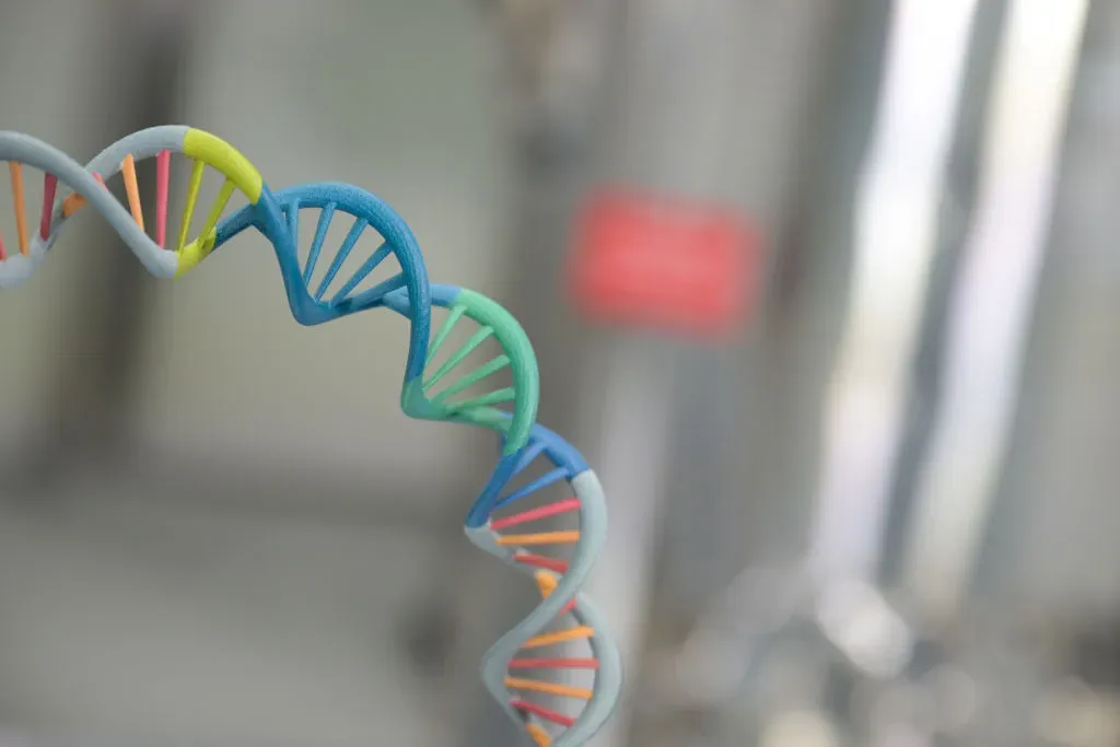 A piece of a plasmid model is stained at Biontech's Goerzhausen I site.
