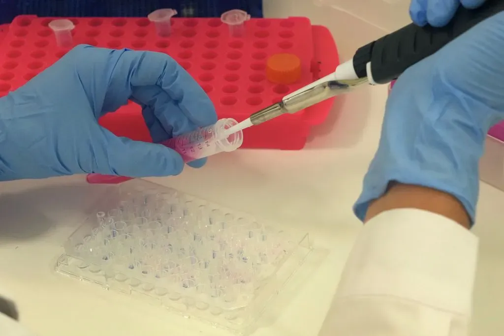 A scientist introduces liquid into a test tube at the Zamudio Technology Park laboratory in Bilbao.