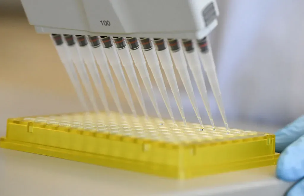An employee pipettes in a laboratory of the biopharmaceutical company Curevac.