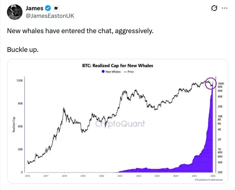 Screenshot 2026-01-05 at 12.06.45 AM.png