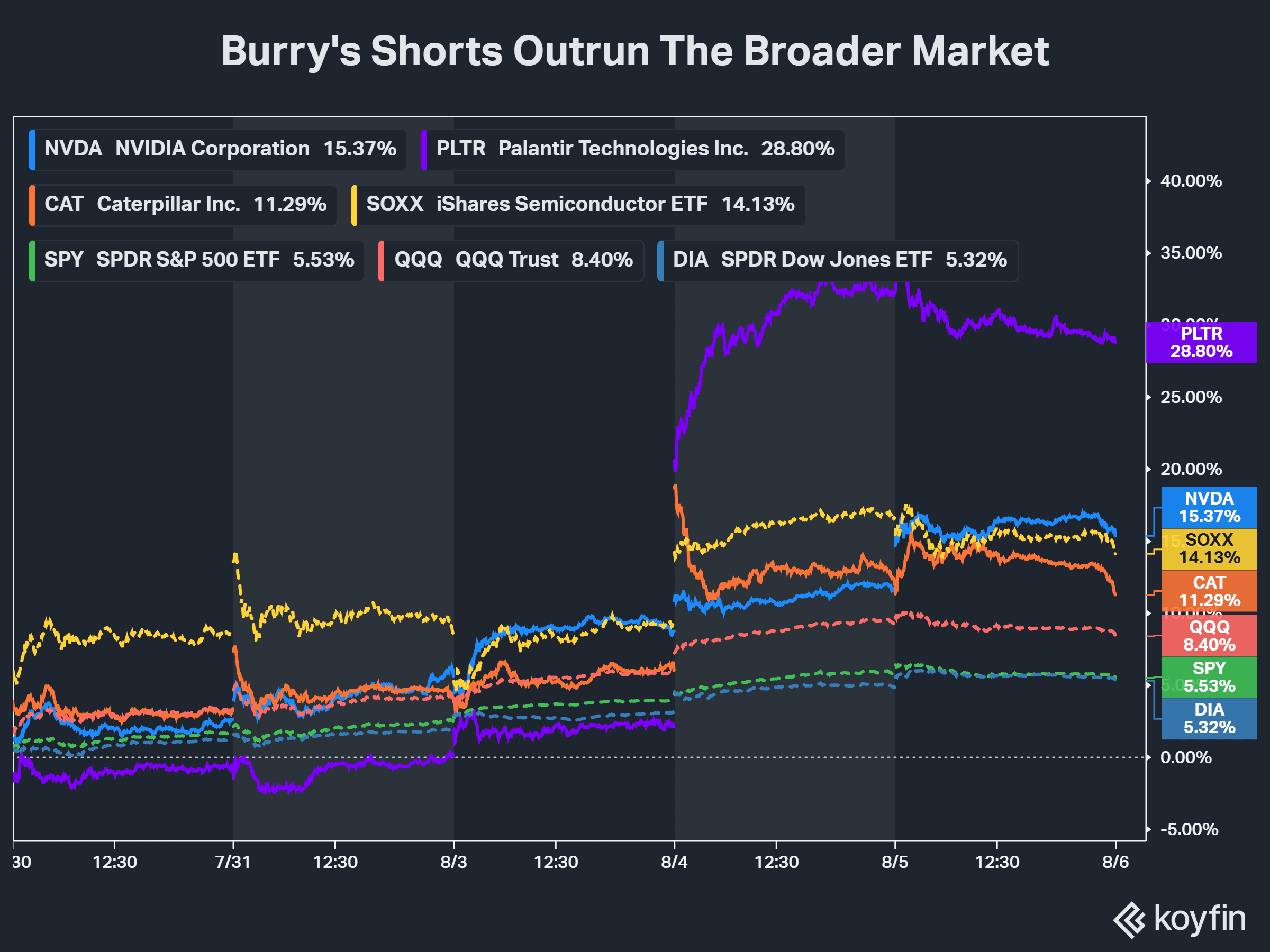 cat pltr nvda.png