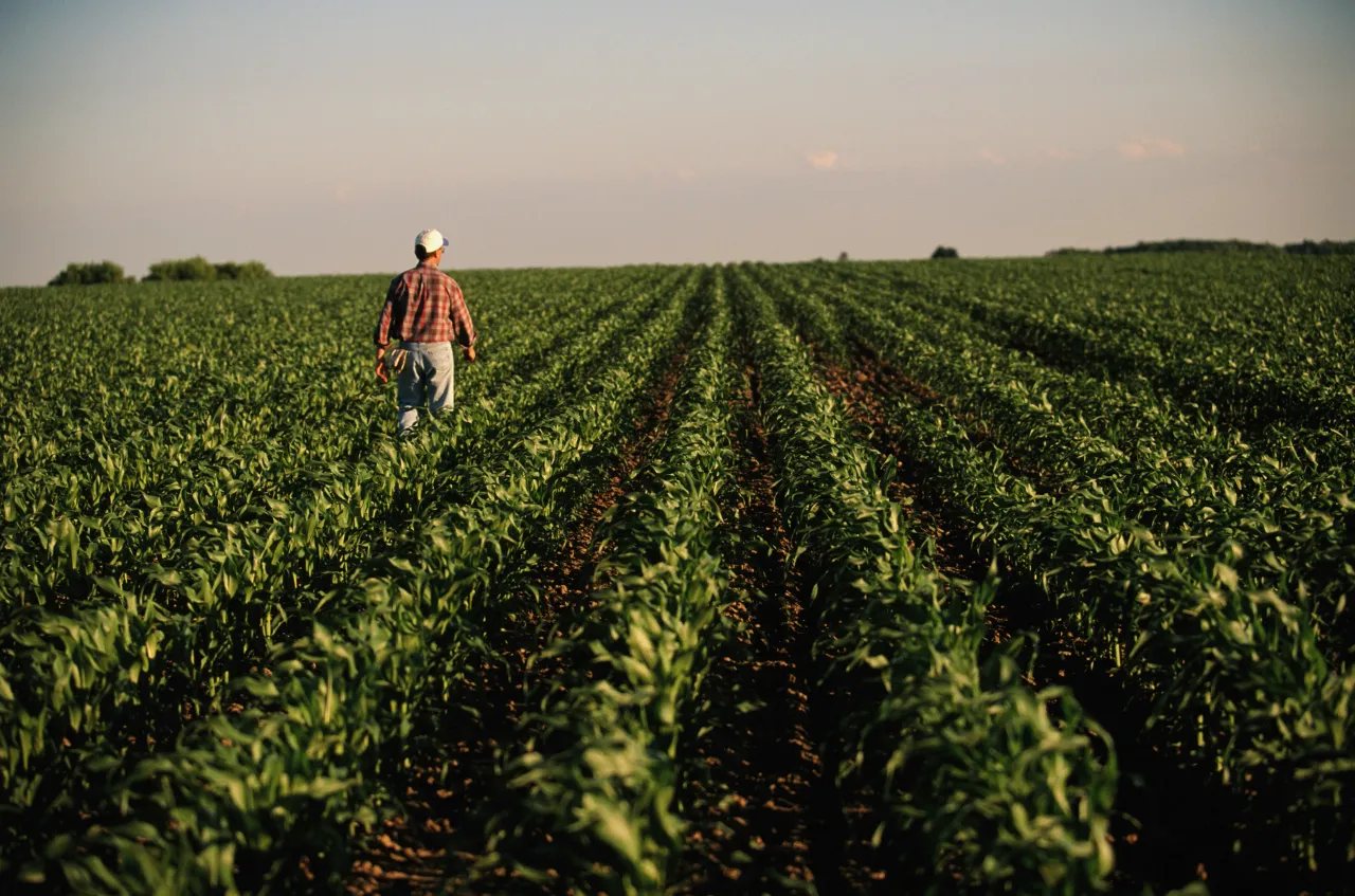 A farmer at a field in Wisconsin, U.S. Mosaic said the potash and phosphate prices have ticked up amid supply constraints and tariff threats.