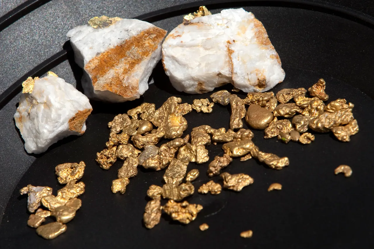 Gold nuggets on display on April 29, 2011 in Jamestown, California. 