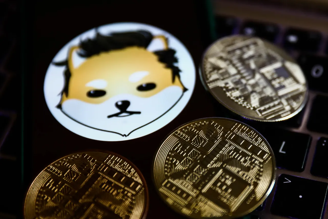 Dogelon Mars Photo Illustrations