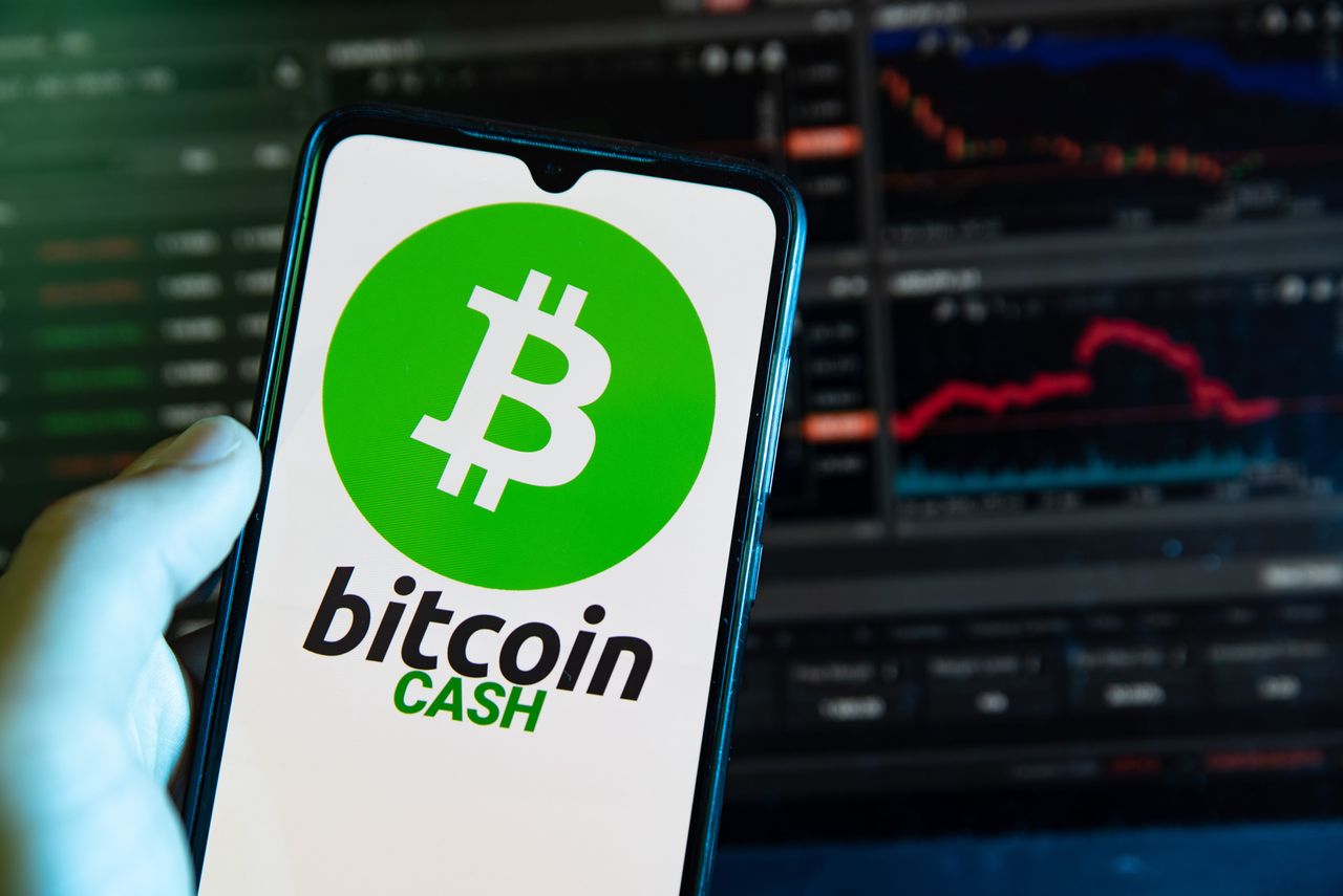 In this photo illustration, the Bitcoin Cash cryptocurrency logo seen displayed on a smartphone screen. (Photo Illustration by Davide Bonaldo/SOPA Images/LightRocket via Getty Images)
