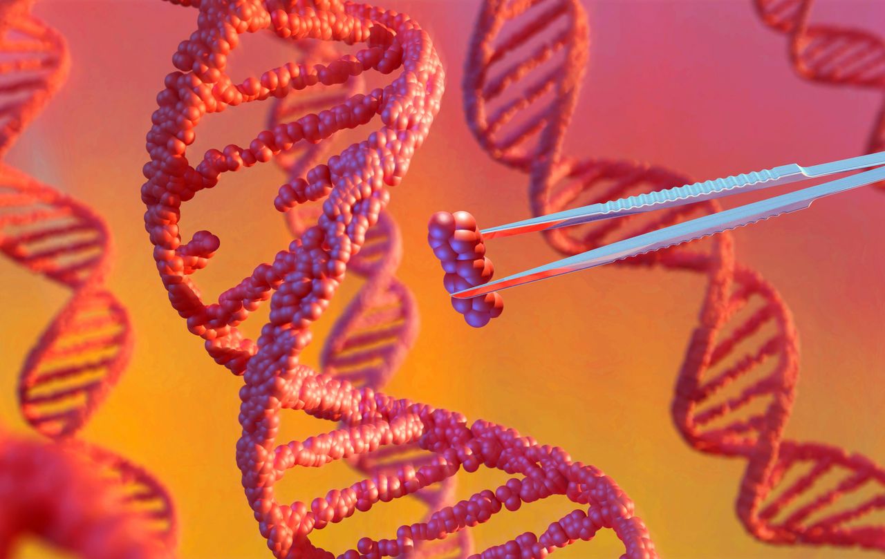 Artwork of DNA Editing. Source: Getty Images