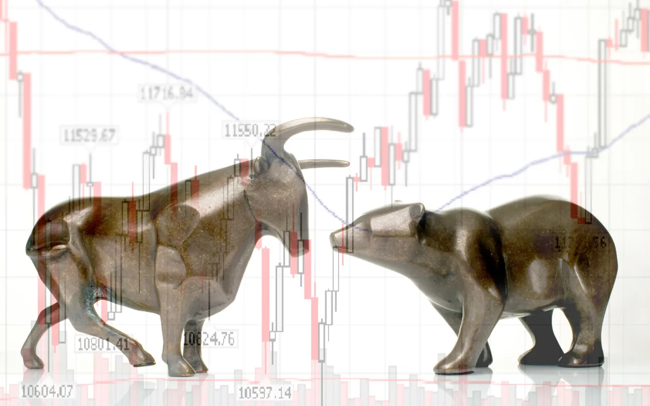 Bull bear chart - stock photo