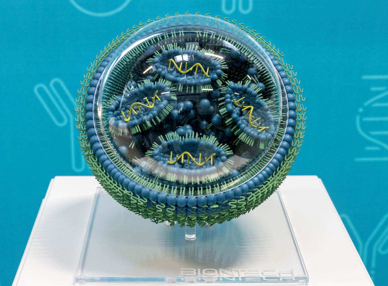 A model of an mRNA, a messenger ribonucleic acid, is on display at BioNTech's facilities. (Photo by Helmut Fricke/picture alliance via Getty Images)