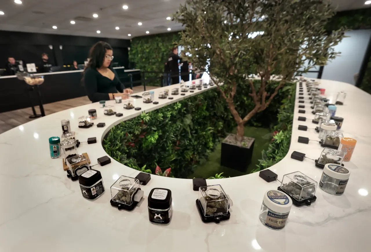 Dozens of varieties of marijuana samples are on display at a dispensary in New York. (Photo by John Paraskevas/Newsday RM via Getty Images)