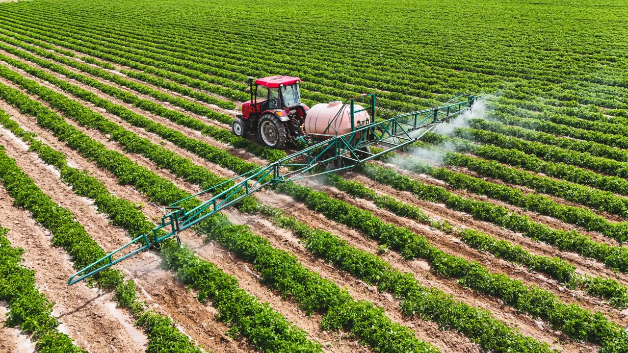  A farmer drives agricultural machinery to spray pesticide on tomatoes in a field on May 25, 2024 in Hutubi county, Changji Hui Autonomous Prefecture, Xinjiang Uygur Autonomous Region of China. (Photo by Tao Weiming/VCG via Getty Images)