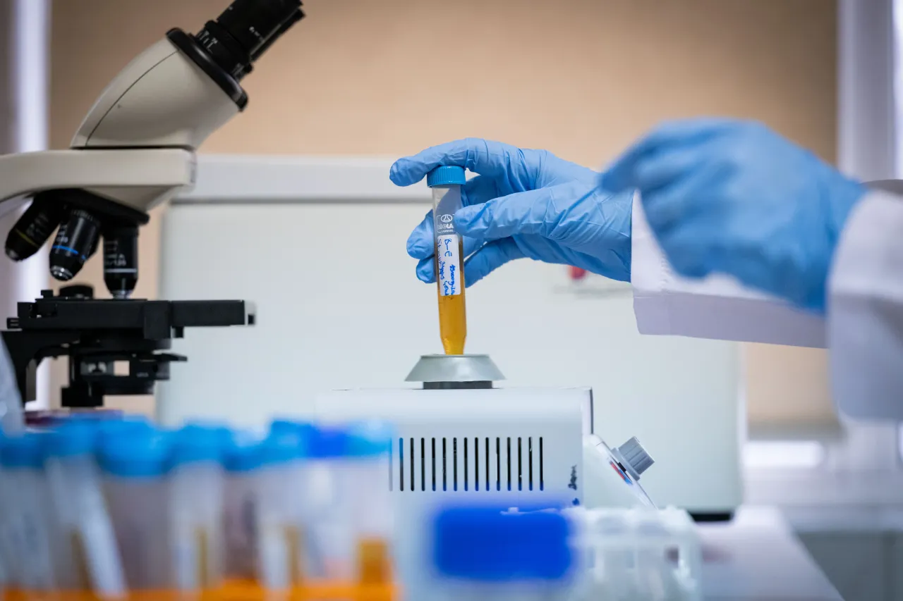 A view from lab as Ankara University Faculty of Pharmacy, Department of Basic Pharmaceutical Sciences.