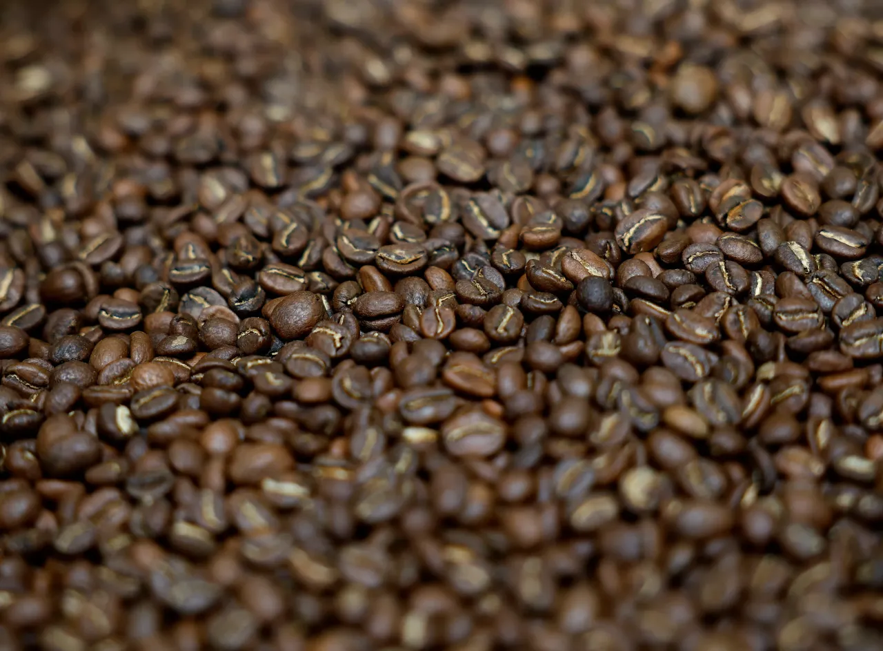 Freshly roasted coffee beans are seen in a barrel.