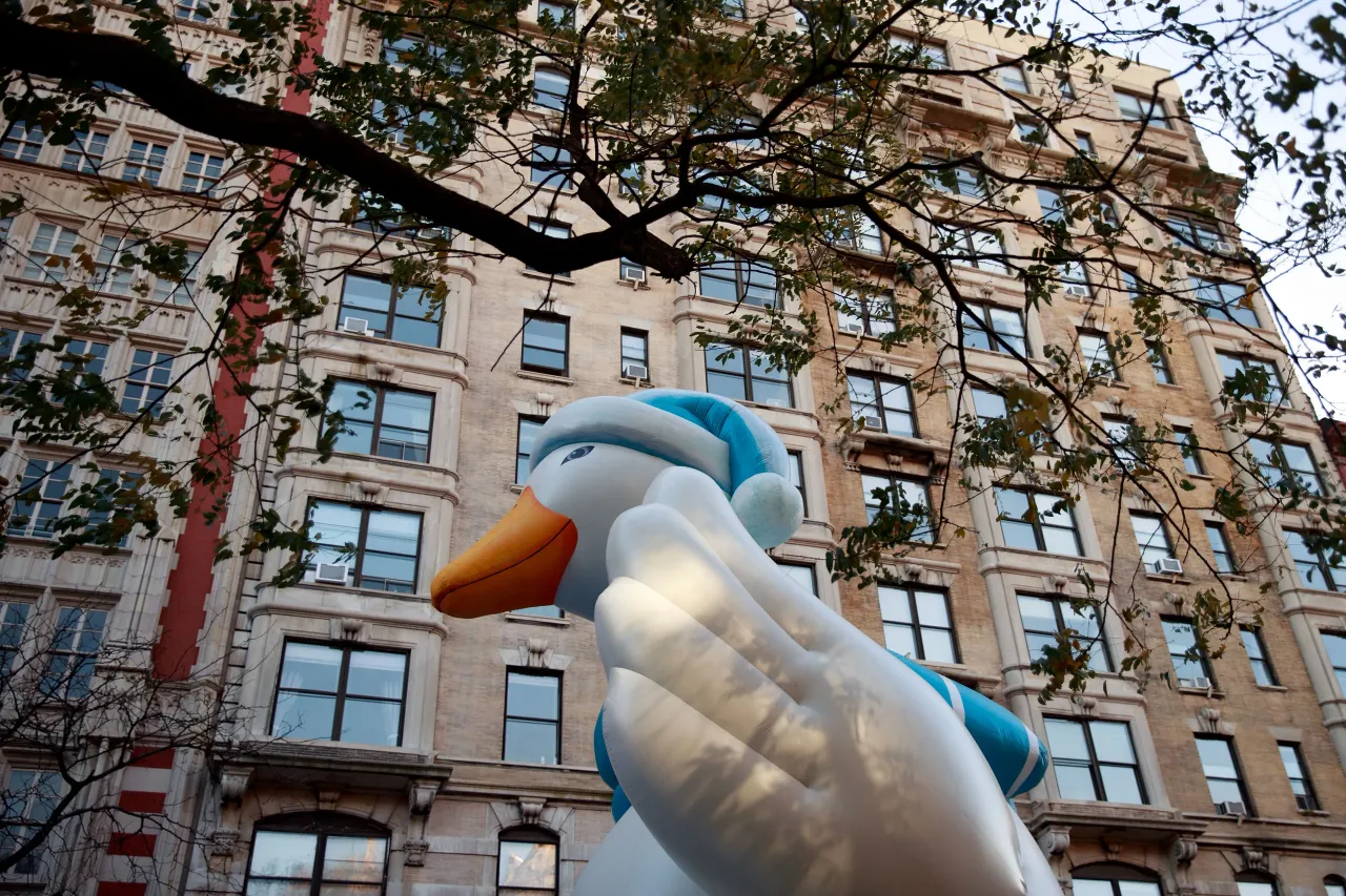 The Aflac duck balloon sits on 77th Street prior to Thursday's Macy's Thanksgiving Day Parade, November 23, 2016 in New York City. (Photo by Drew Angerer/Getty Images)