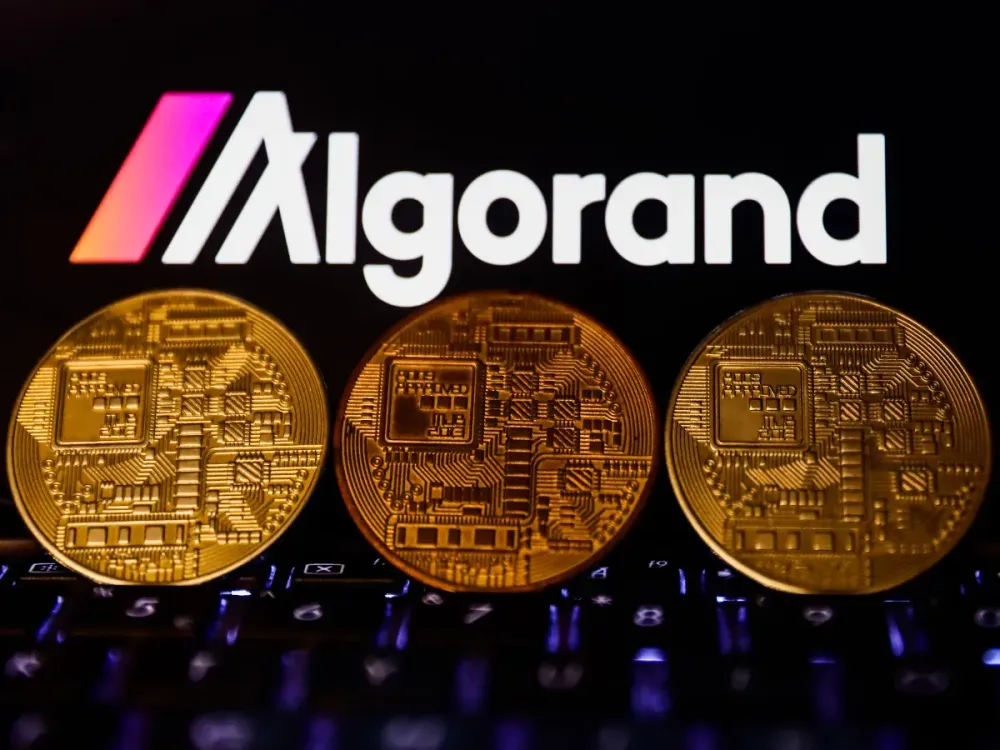 Algorand logo displayed on a phone screen and representation of cryptocurrency are seen in this illustration photo taken in Krakow, Poland on November 6, 2021. (Photo by Jakub Porzycki/NurPhoto via Getty Images)