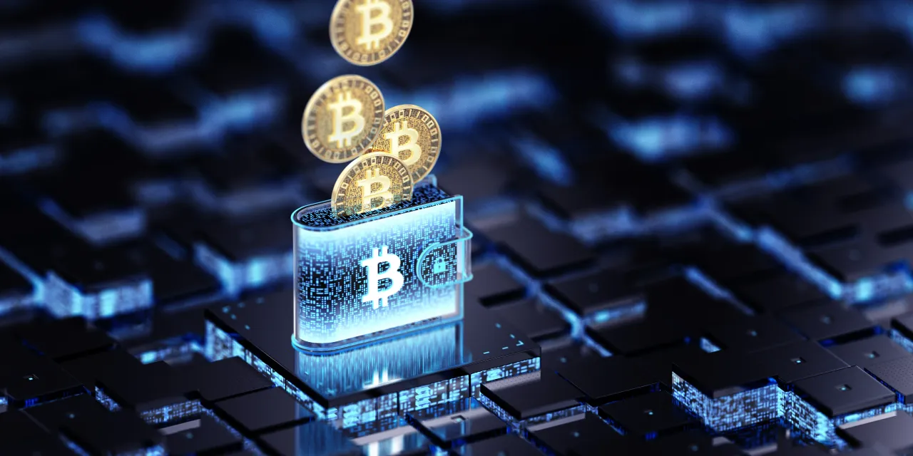 Representative image of a crypto wallet. (Photo by BlackJack3D/Getty Images)