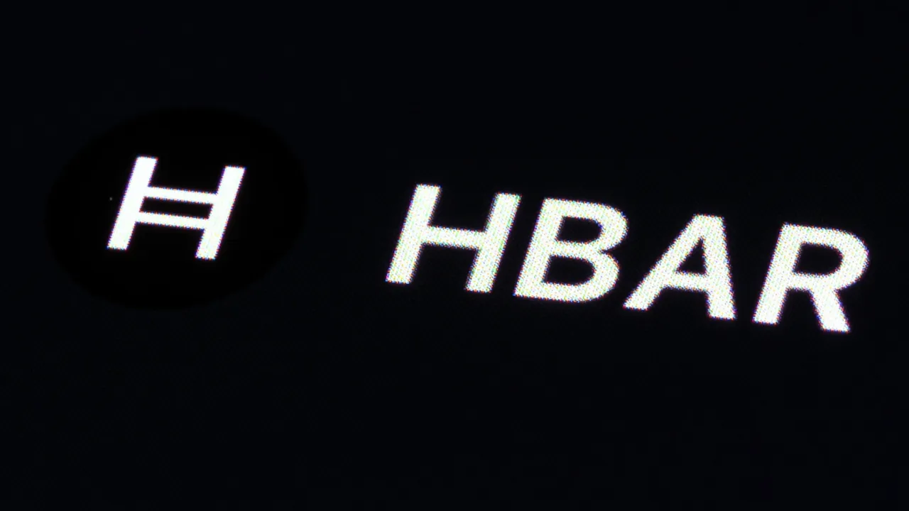 The logo of the cryptocurrency Hedera (HBAR) can be seen on the CoinMarcetCap trading platform. (Photo by Silas Stein/picture alliance via Getty Images)