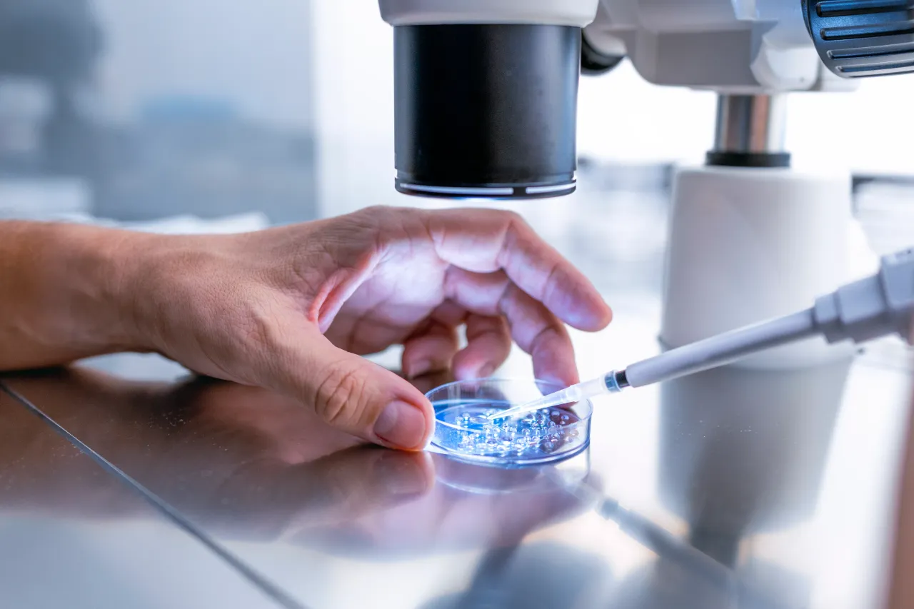 Progyny’s stock (PGNY) has risen 24% so far in 2025. (Photo credit: Getty Images)