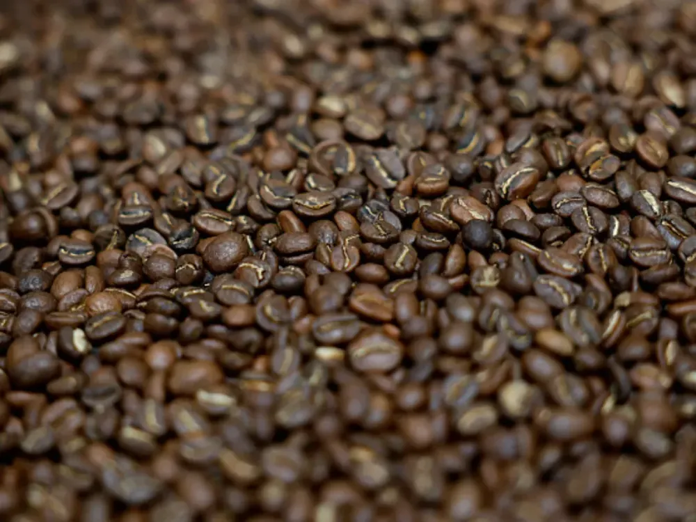 Freshly roasted coffee beans are seen in a barrel at Sightglass Coffee on April 07, 2025 in San Francisco, California. (Photo by Justin Sullivan/Getty Images)